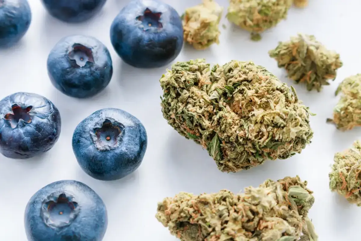 blueberries and cannabis