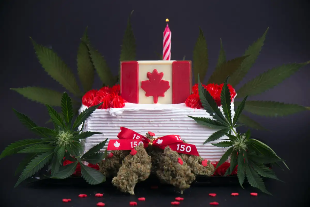 Cake with marijuana leaves