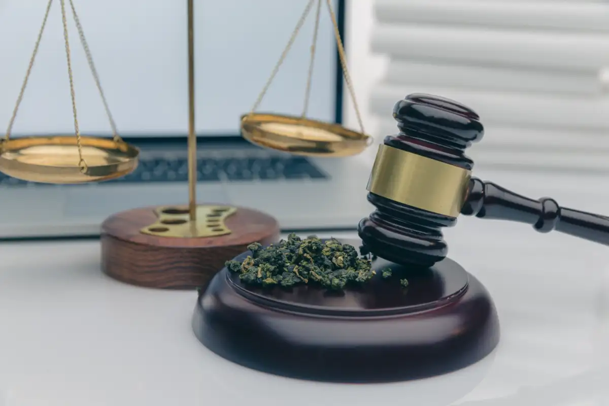 Gavel and Cannabis