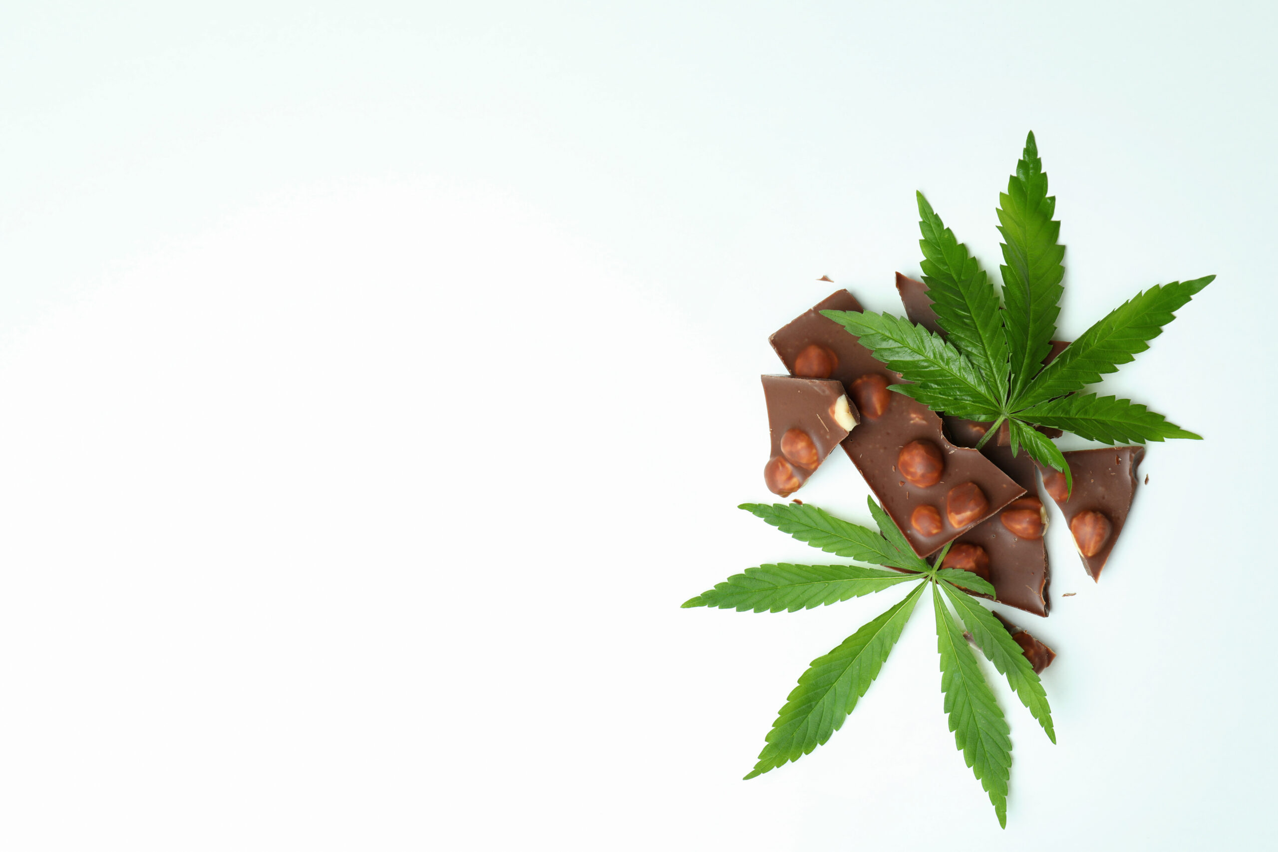 Cannabis chocolate and leaves on white background