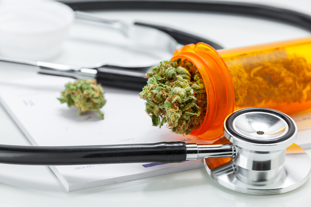 lose Up Cannabis Buds With Doctors Prescription