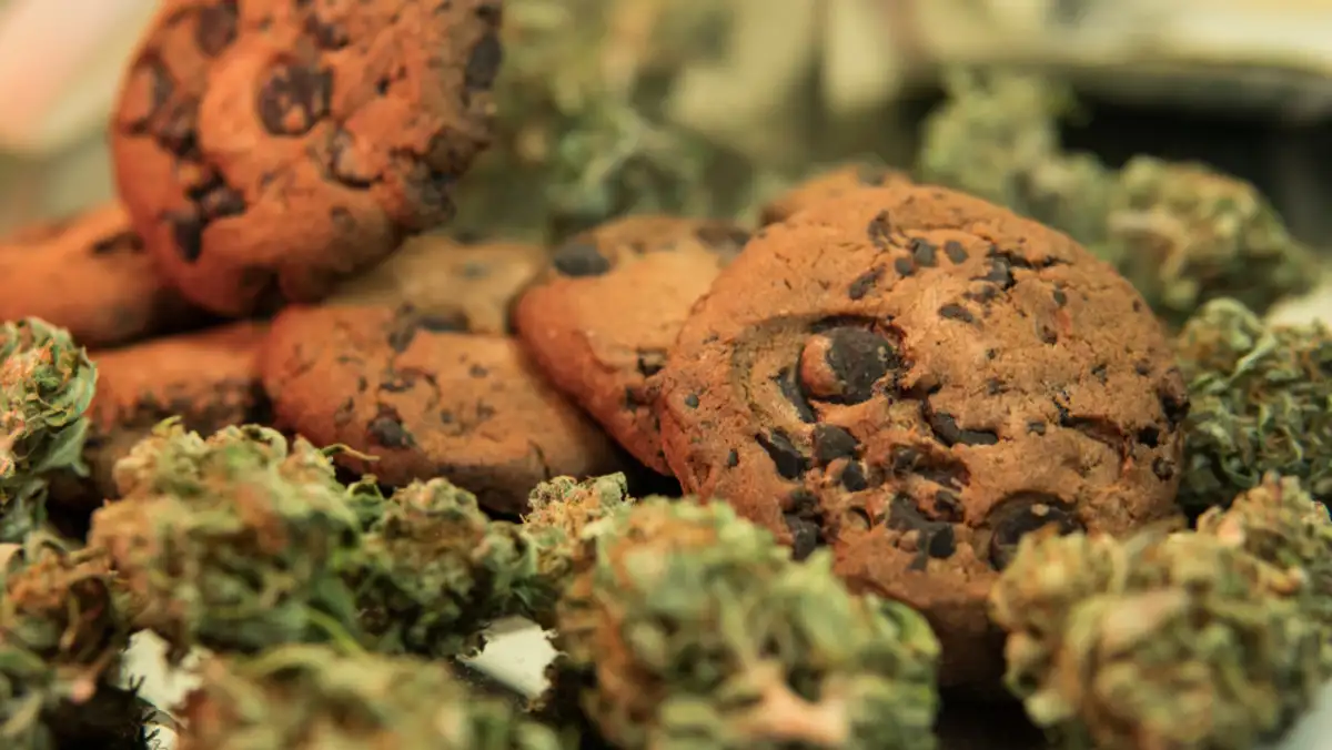 Fresh baked cookies with cannabis buds