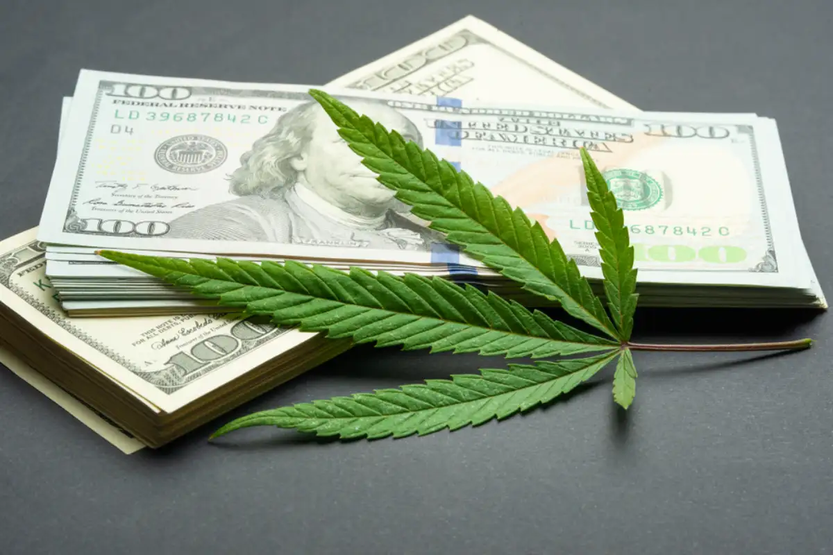 Black market of drugs trade