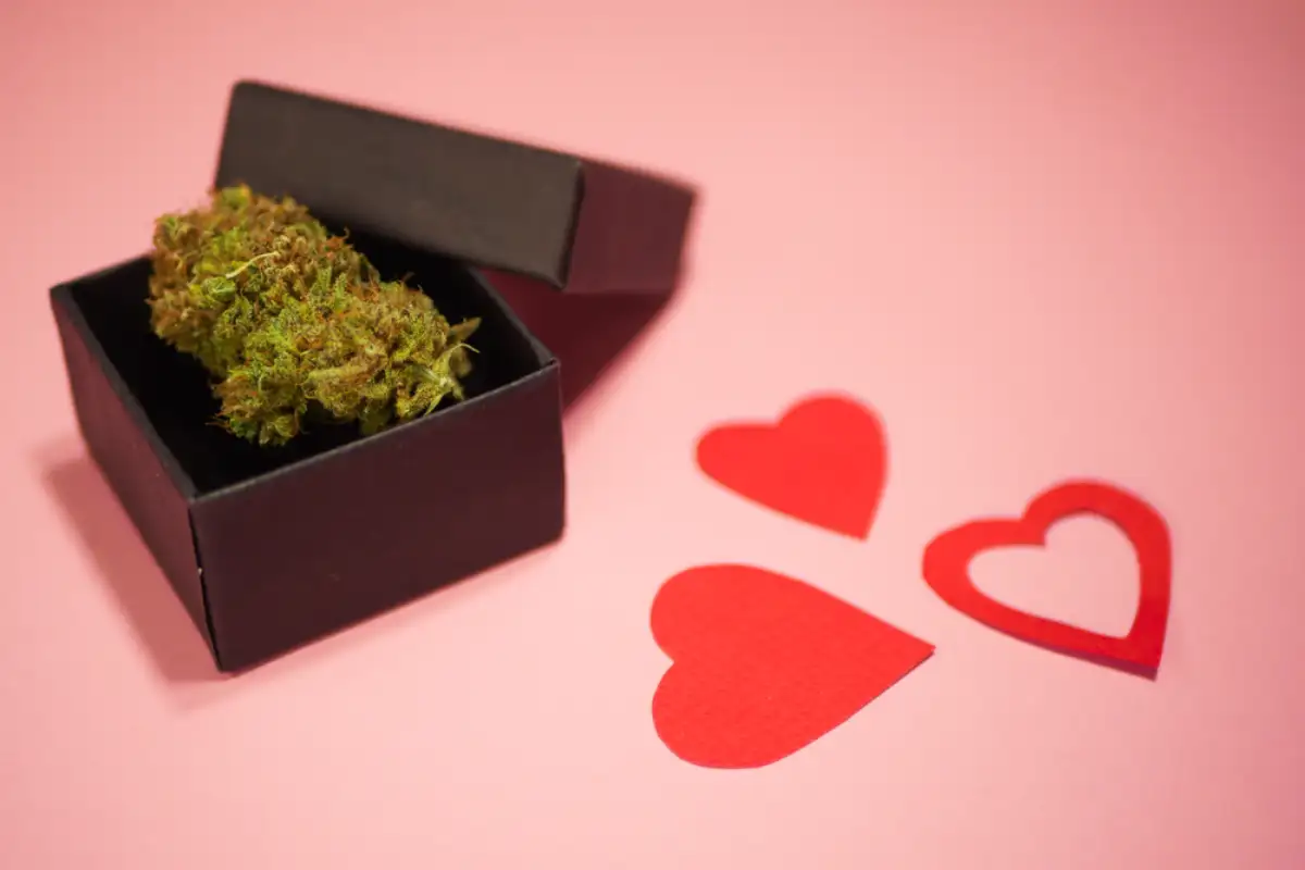 Cannabis bud in gift box. Valentines day surprise.