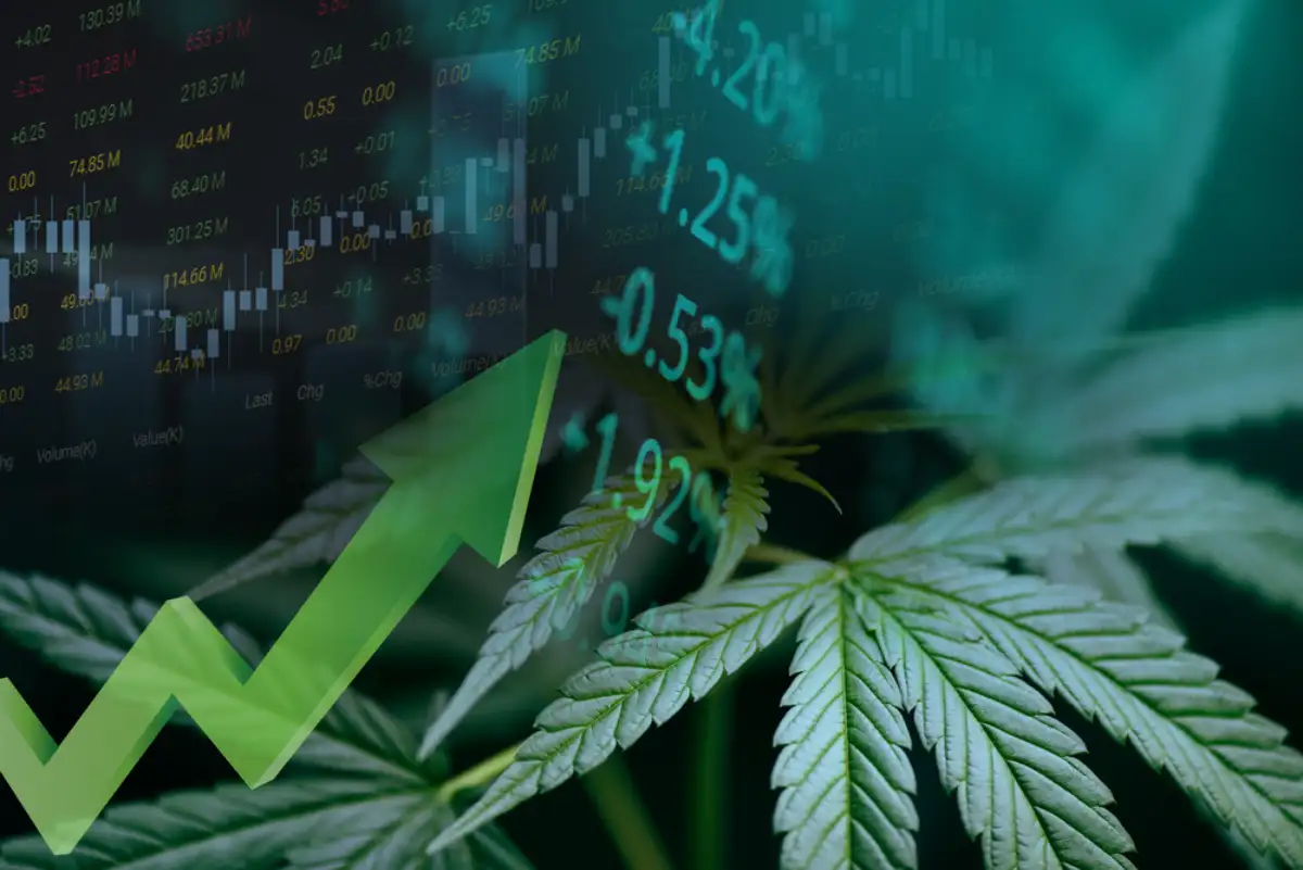 Cannabis business with marijuana leaves and stock graph charts