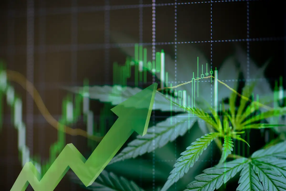 Cannabis business with marijuana leaves and stock graph charts on stock market exchange