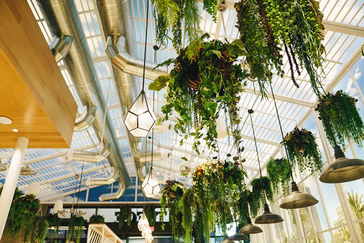 Inside of Planet 13 Trece