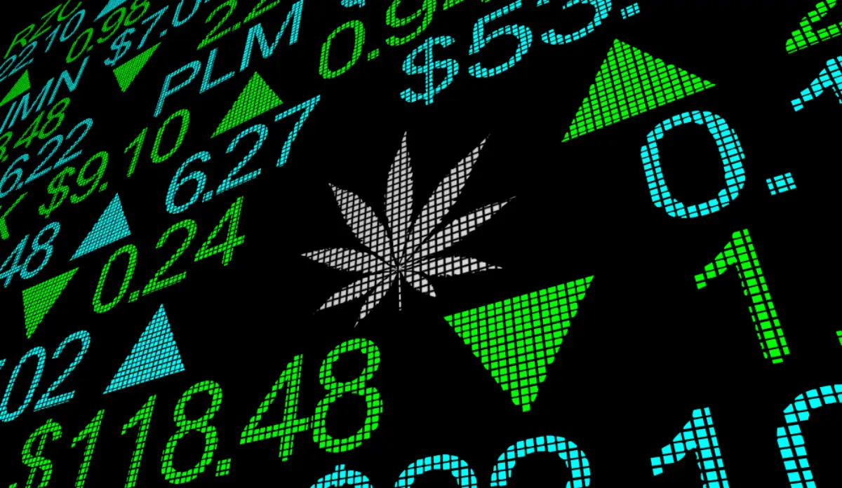Marijuana Pot Weed Cannabis Stock Company