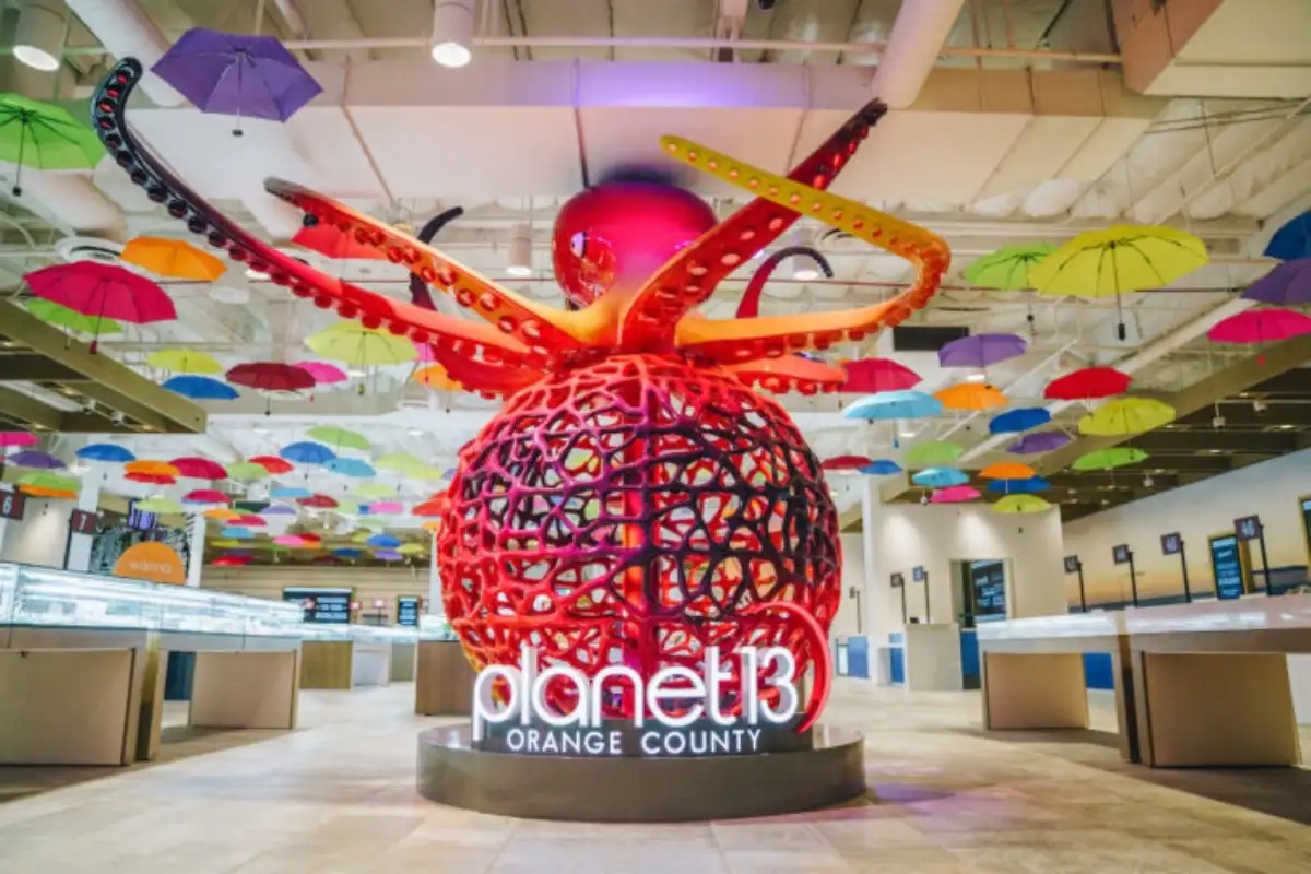 Planet 13 orange county